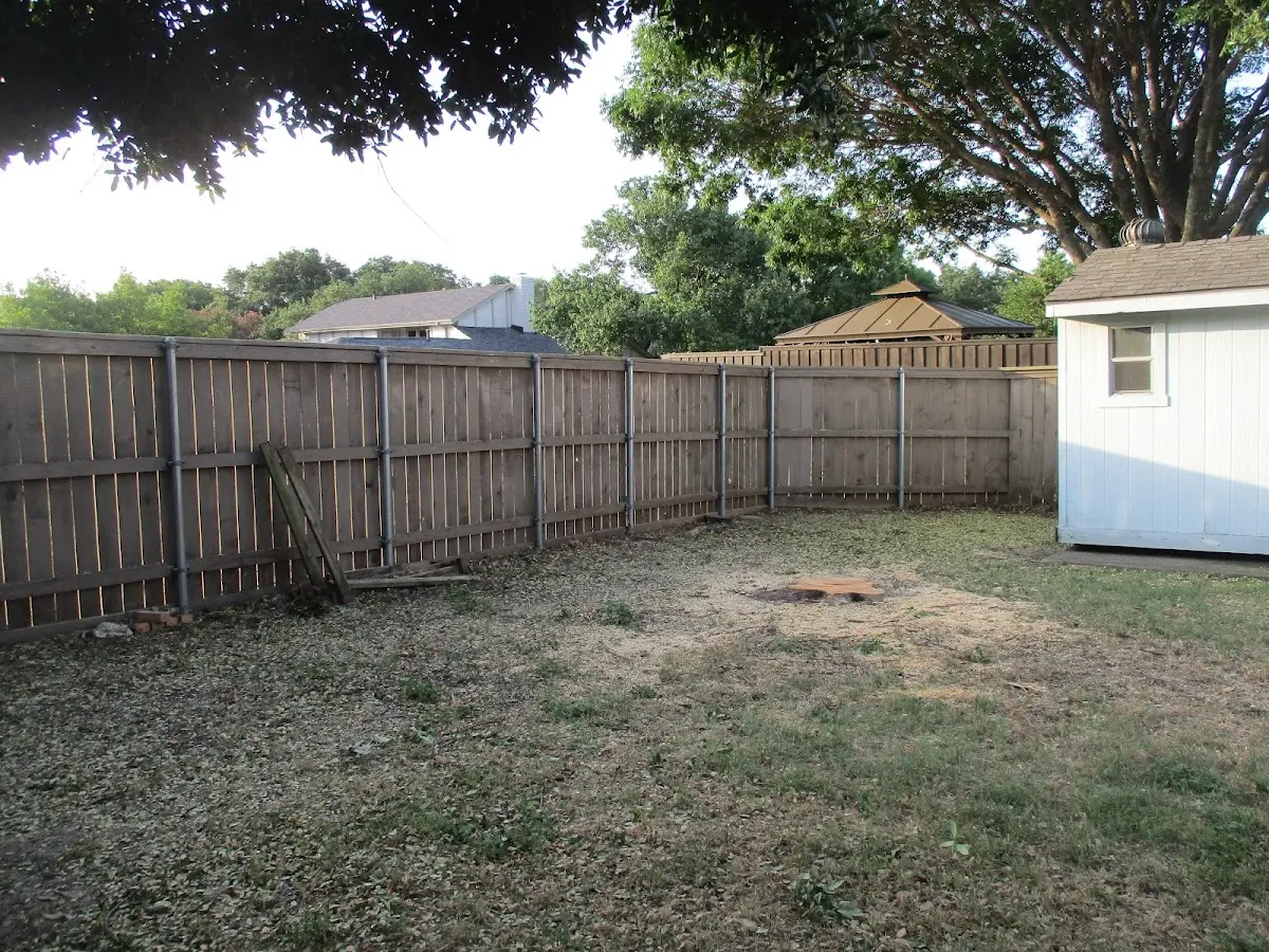 Cleared yard after professional tree removal in Lake Panasoffkee